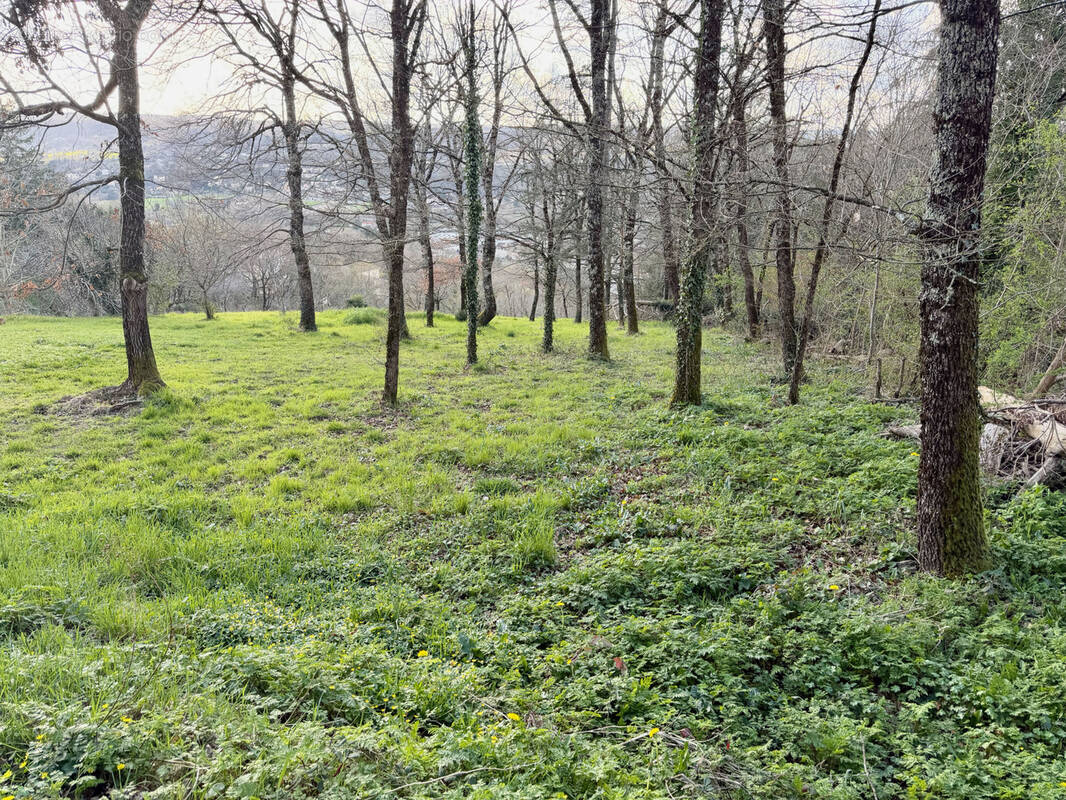 Terrain à VILLEFRANCHE-DE-ROUERGUE