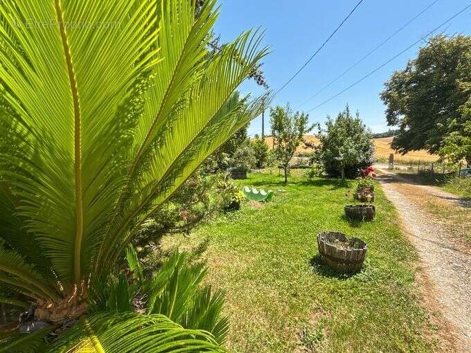 En campagne, maison ancienne entièrement rénovée, habitable de plain-pied avec jardin et dépendance - photo 2