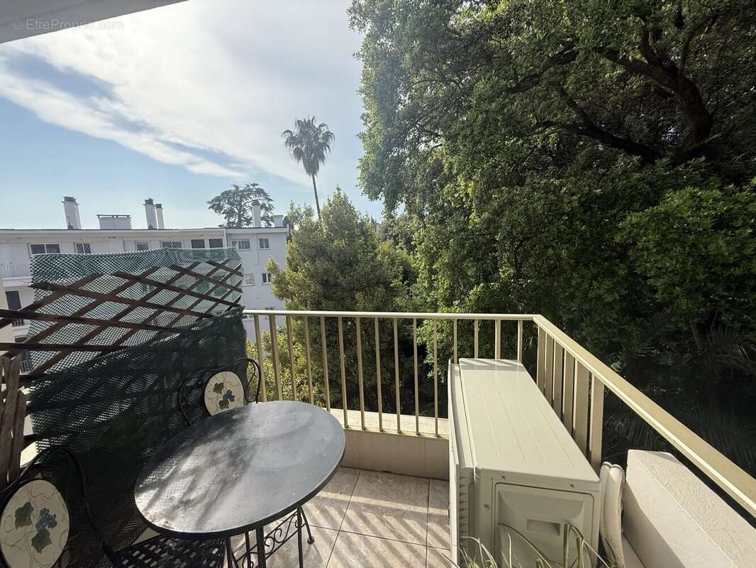 Dernier étage lumineux et traversant avec vue verdure – Basse Californie - photo 12