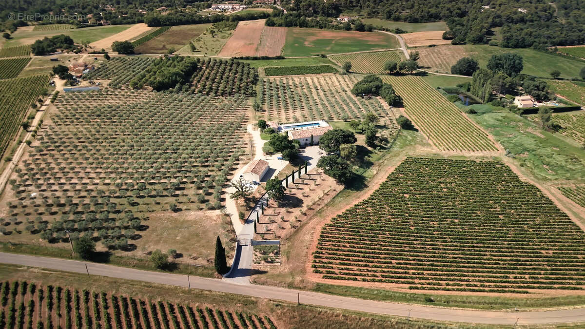 Domaine d'exception au cœur du luberon   oliveraie, chênes truffiers & activité touristique clé en main - photo 3