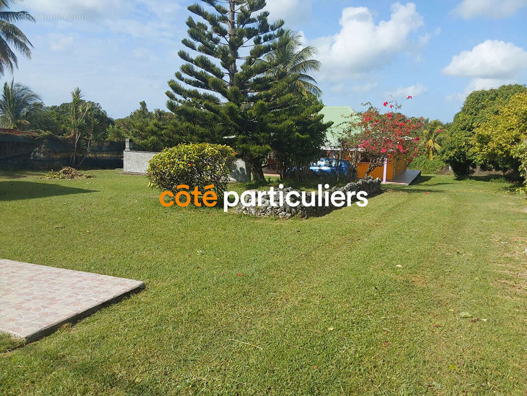 Terrain à CAPESTERRE-DE-MARIE-GALANTE