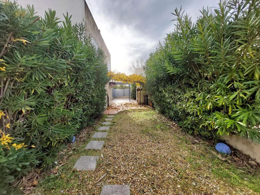 Photo 3 - Appartement à MARSEILLAN