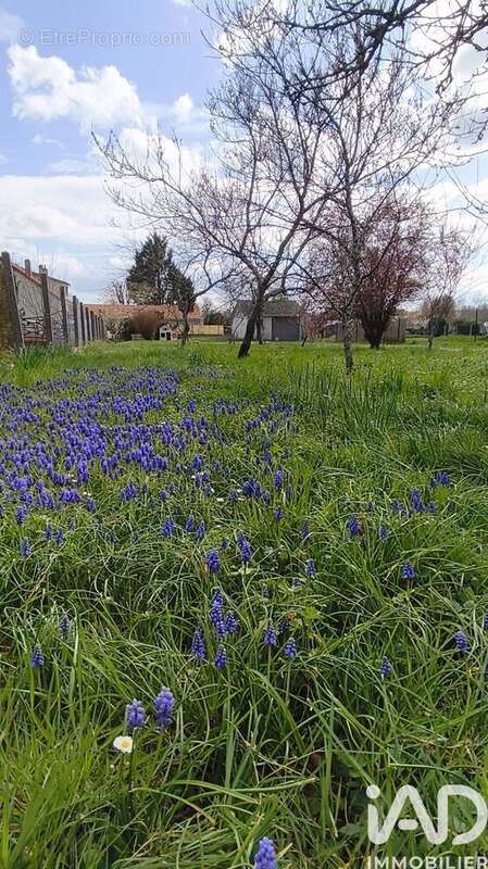 Photo 8 - Terrain à LE POINCONNET