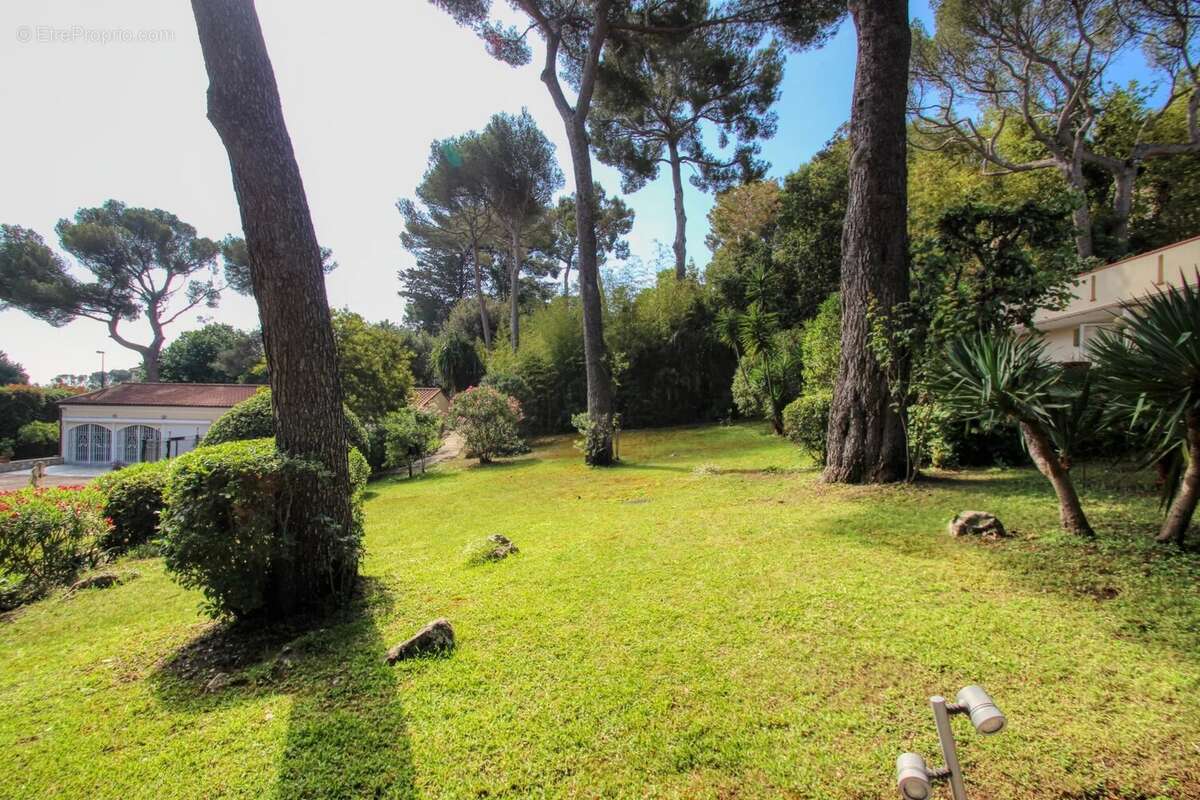 Saint jean cap ferrat "le cap" - propriété 600m²  terrain 5000m² piscine - photo 37