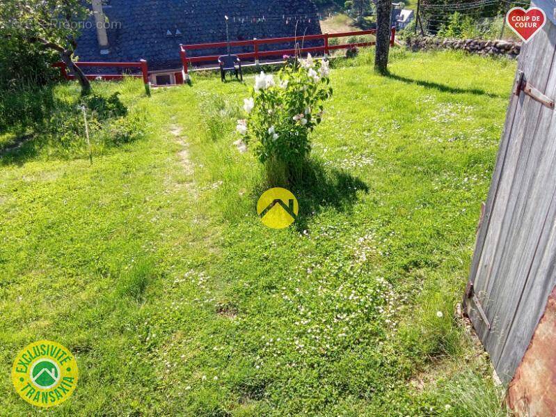 Terrain à PIERREFORT