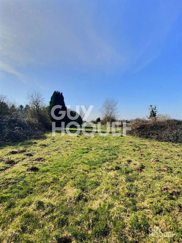 Terrain à THIBERVILLE