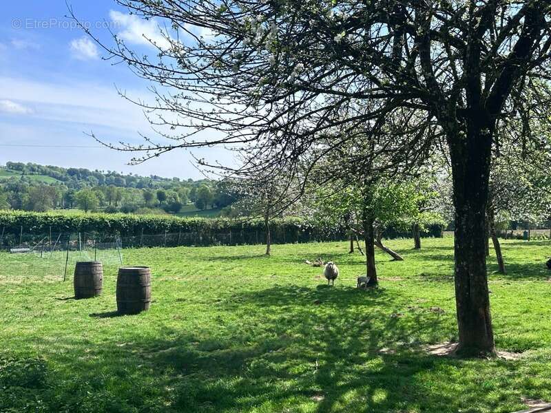 Maison en pierre de 244 m2 habitables avec chambres d'hôtes et 8500 m2 terrain à vendre CHAMP DU BOULT (14) - photo 18