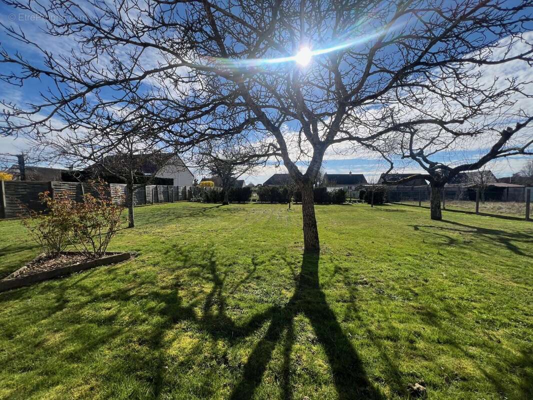Maison à SAINT-MARTIN-SUR-OCRE