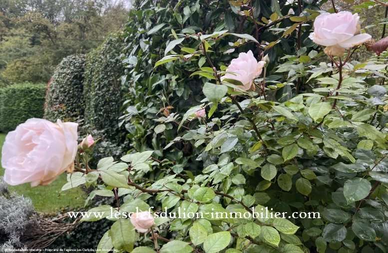 Maison à LORREZ-LE-BOCAGE-PREAUX