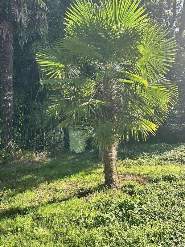 IMG2335 - Terrain à NIORT