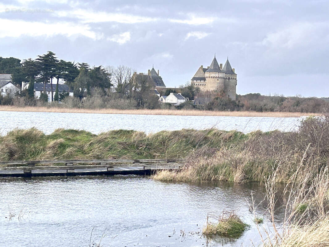 Terrain à SARZEAU
