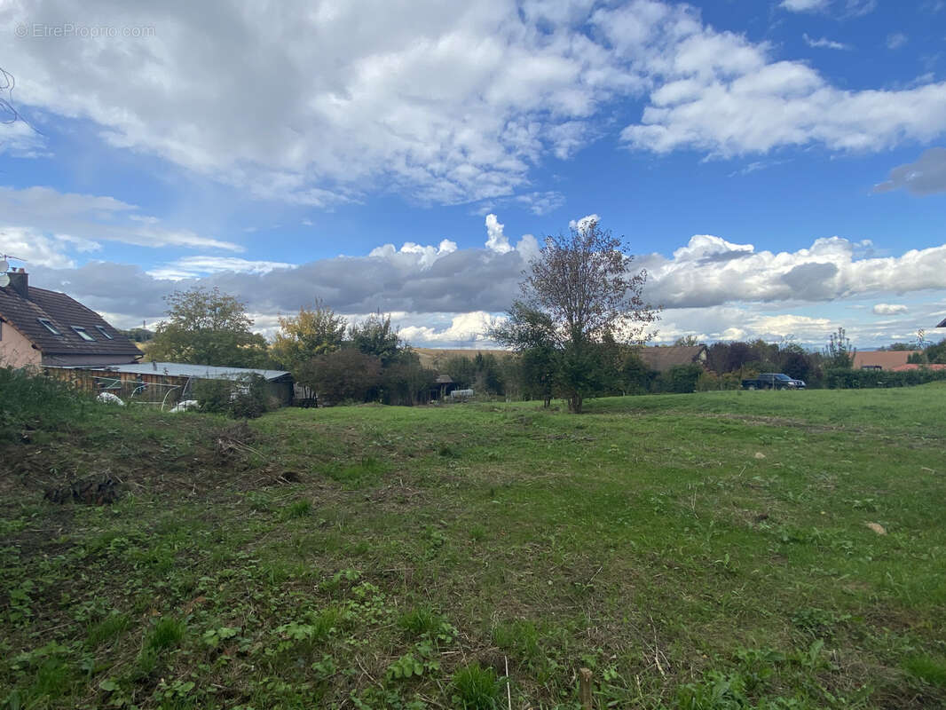 Terrain à HELFRANTZKIRCH