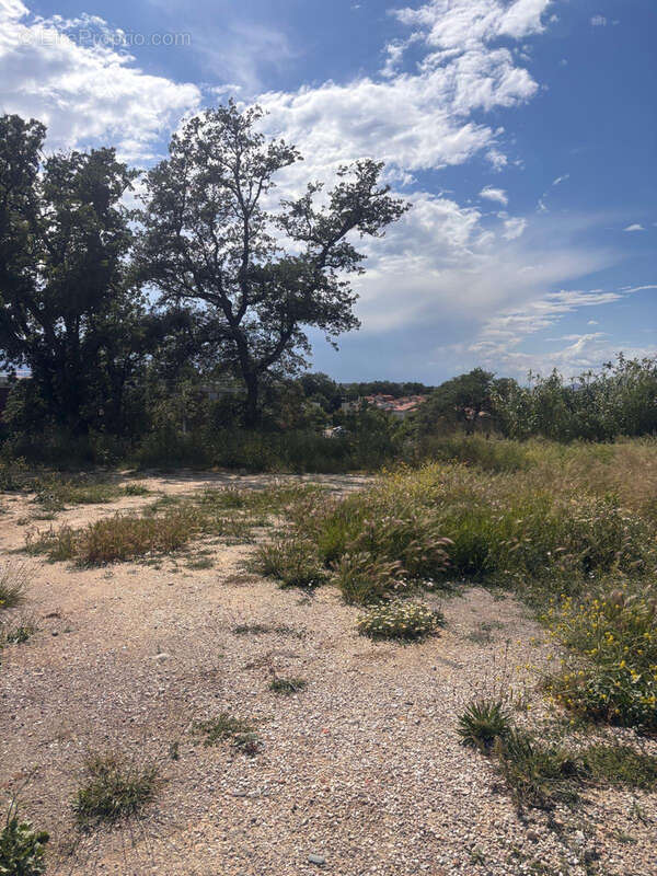 Terrain à PERPIGNAN