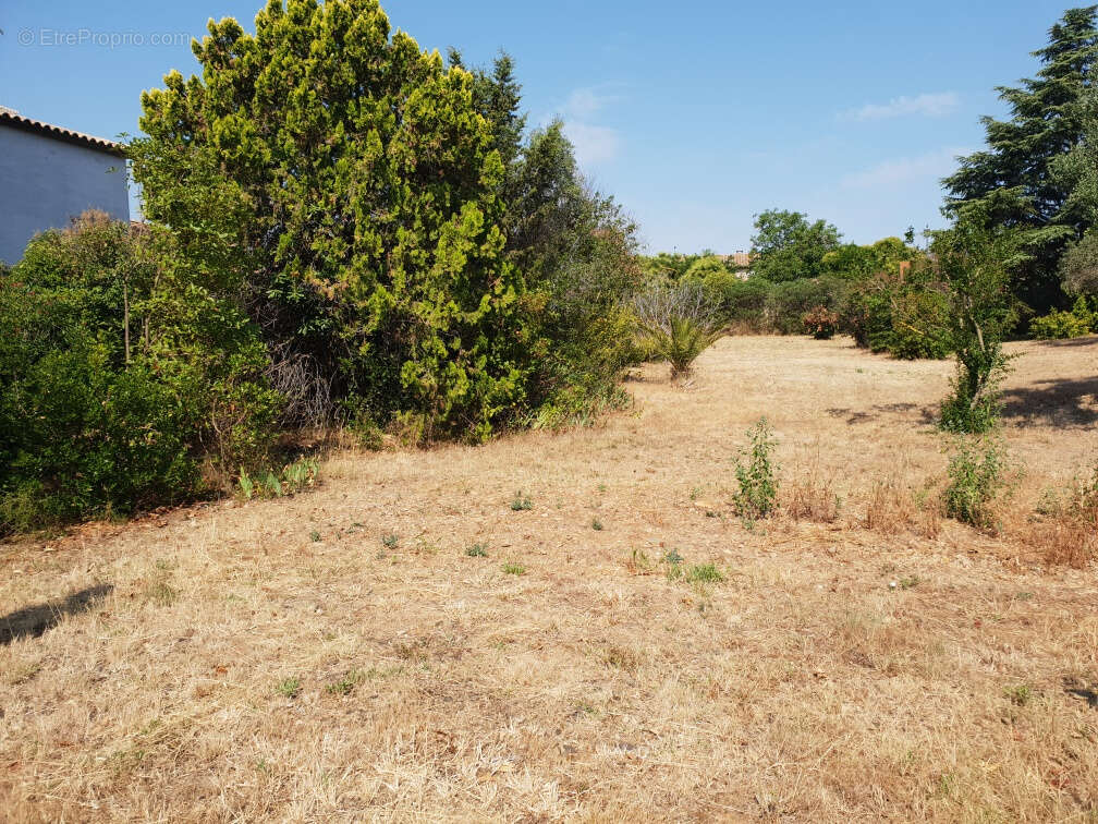 Terrain 855 m² à Saint-Nazaire-D'aude  - photo 2