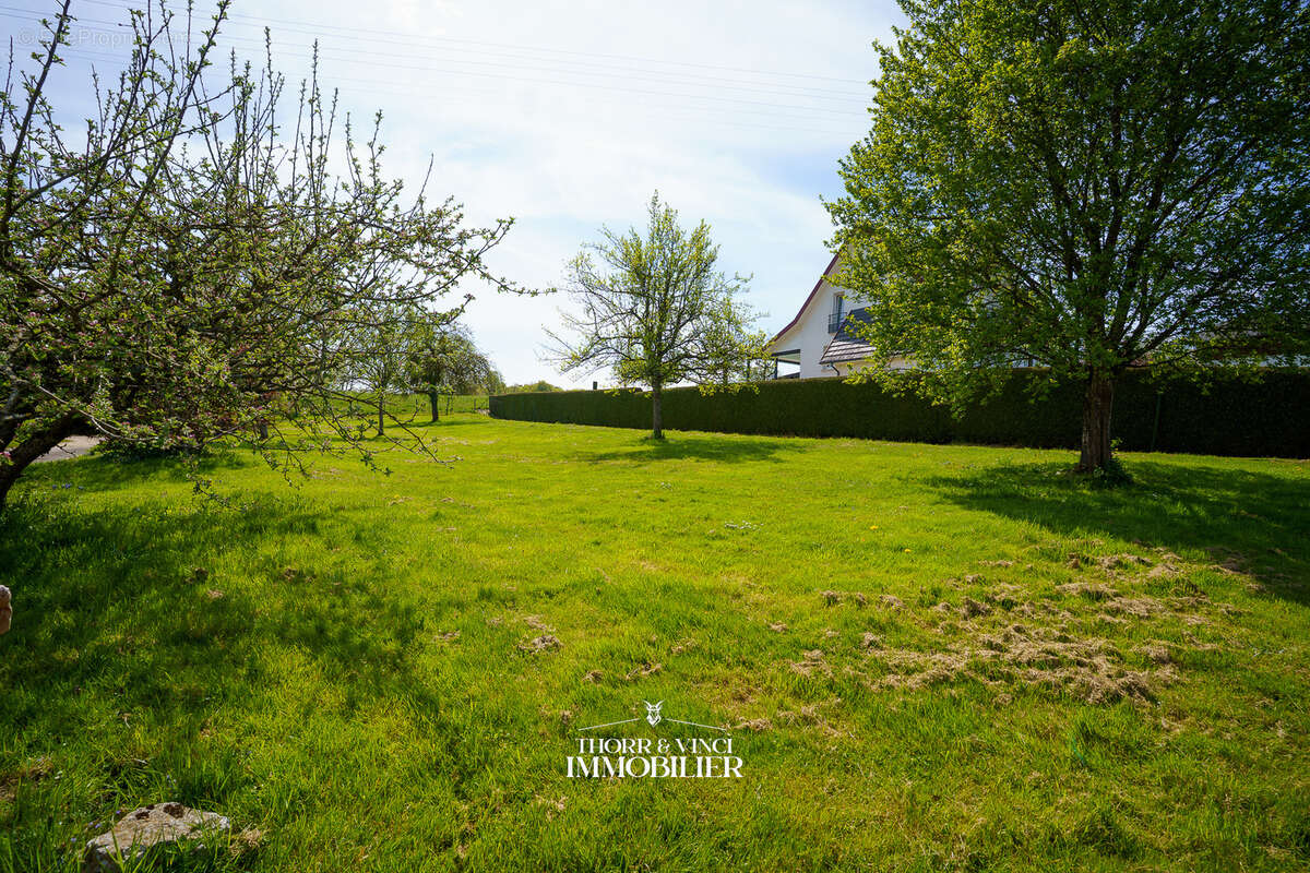 Terrain à PFETTERHOUSE