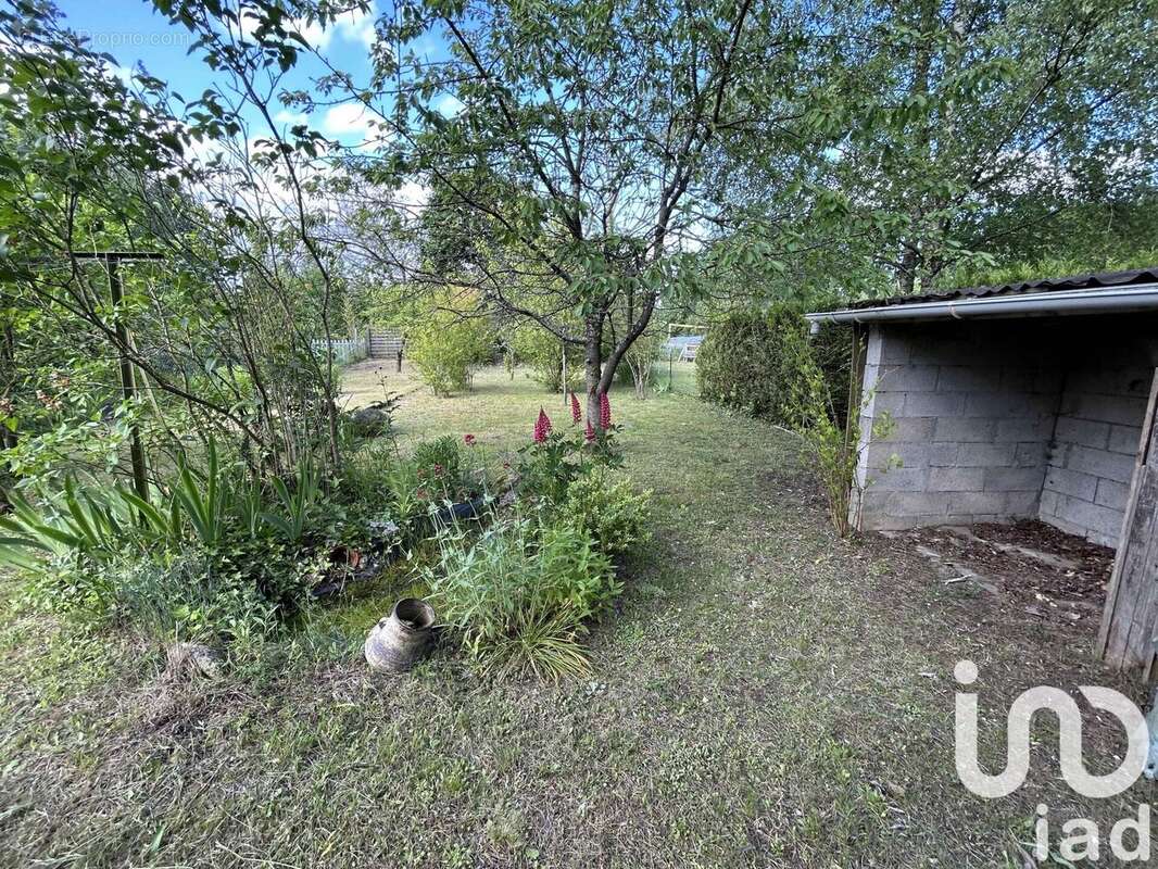 Photo 6 - Maison à LARCHANT