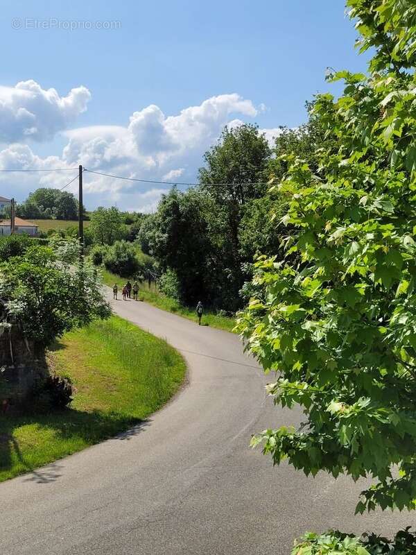 Maison 225 m² à Larribar-Sorhapuru  - photo 2