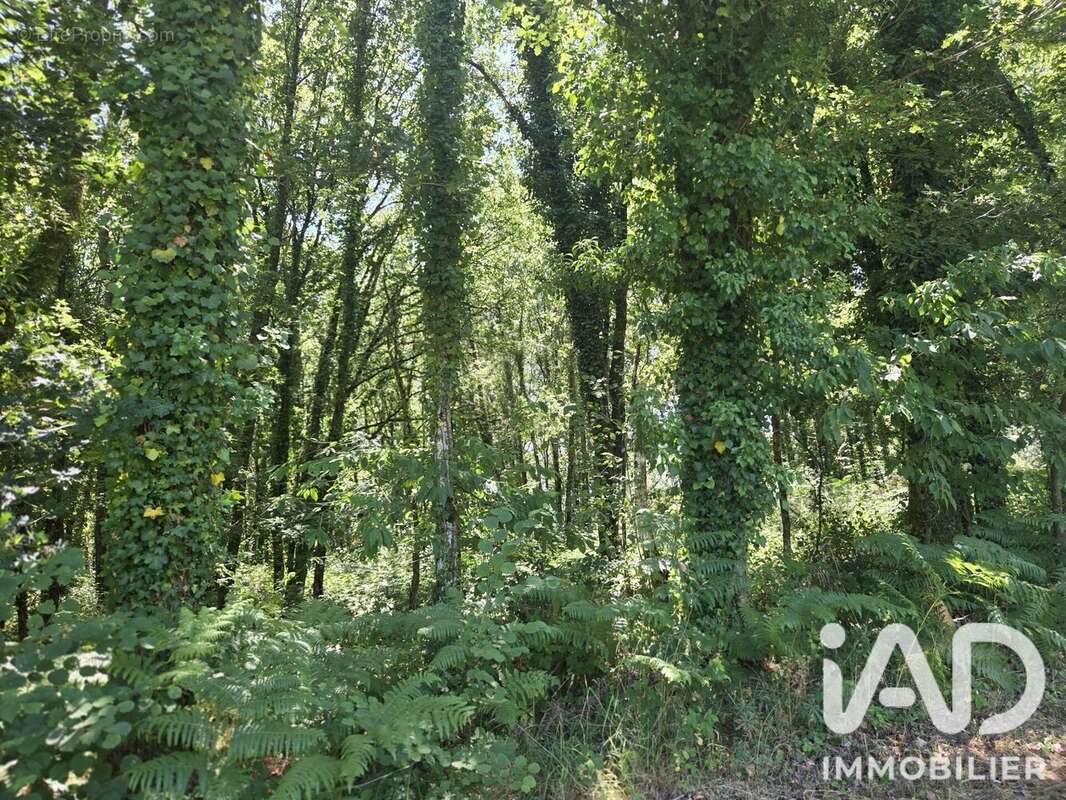 Terrain 3320 m² à Limerzel  - photo 4