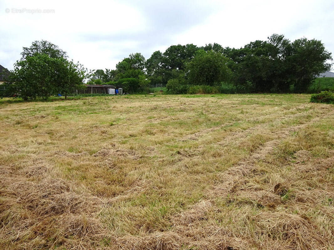 Terrain à LA FERTE-BERNARD
