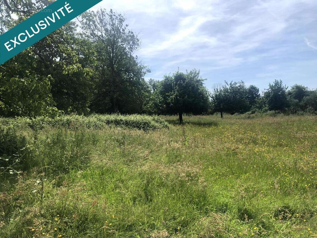 Photo 4 - Maison à CHAMPS