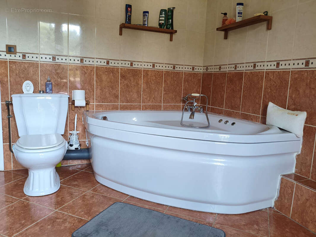 Mandres-les-Roses - Maison familiale de 200 m² avec piscine, jacuzzi, véranda climatisée et jardin paysagé - photo 11
