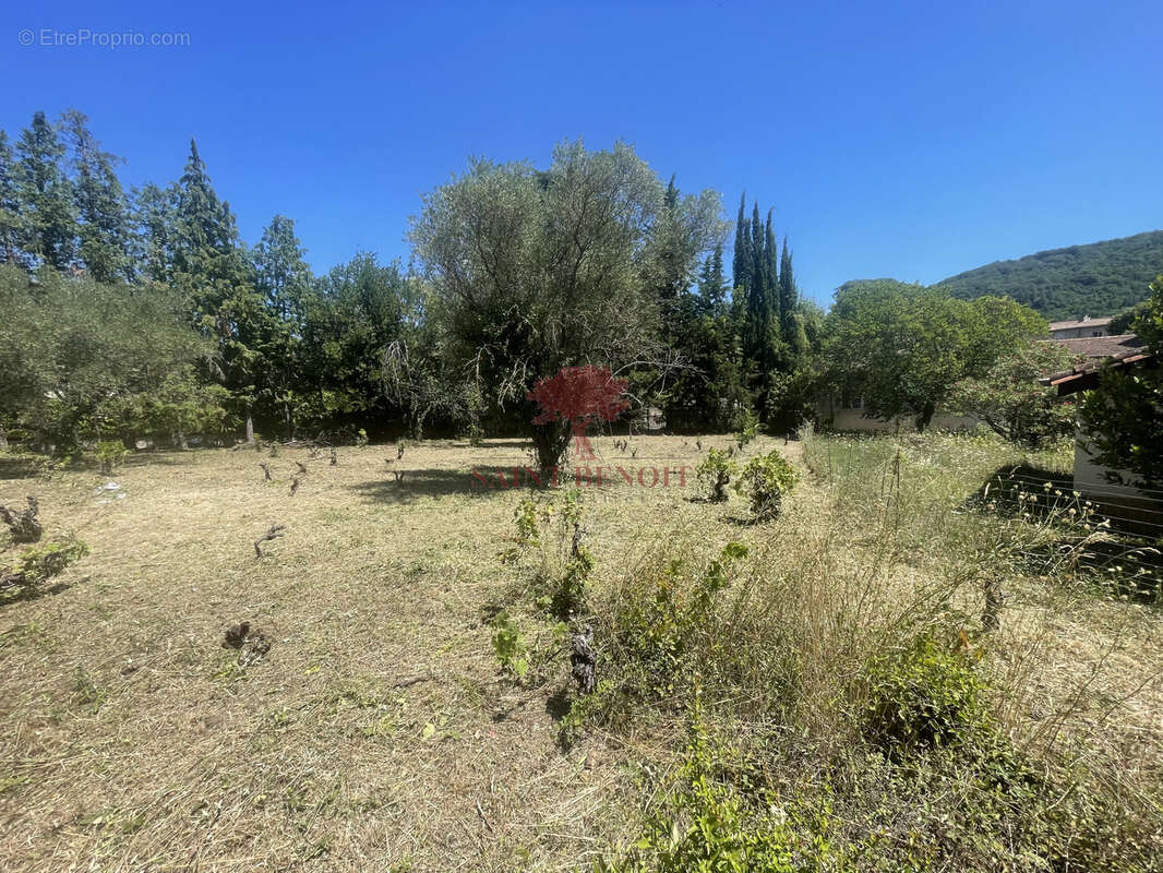 Terrain à LODEVE