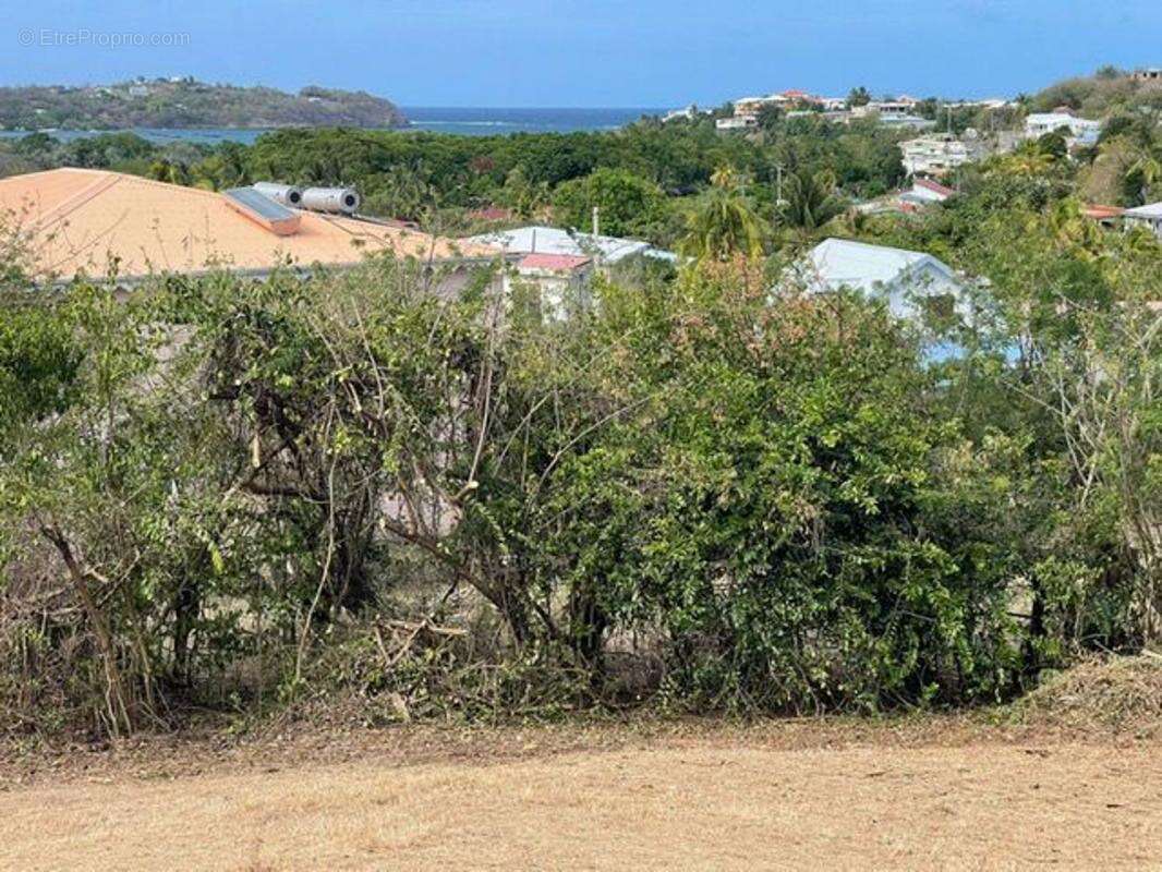 Terrain à LE VAUCLIN