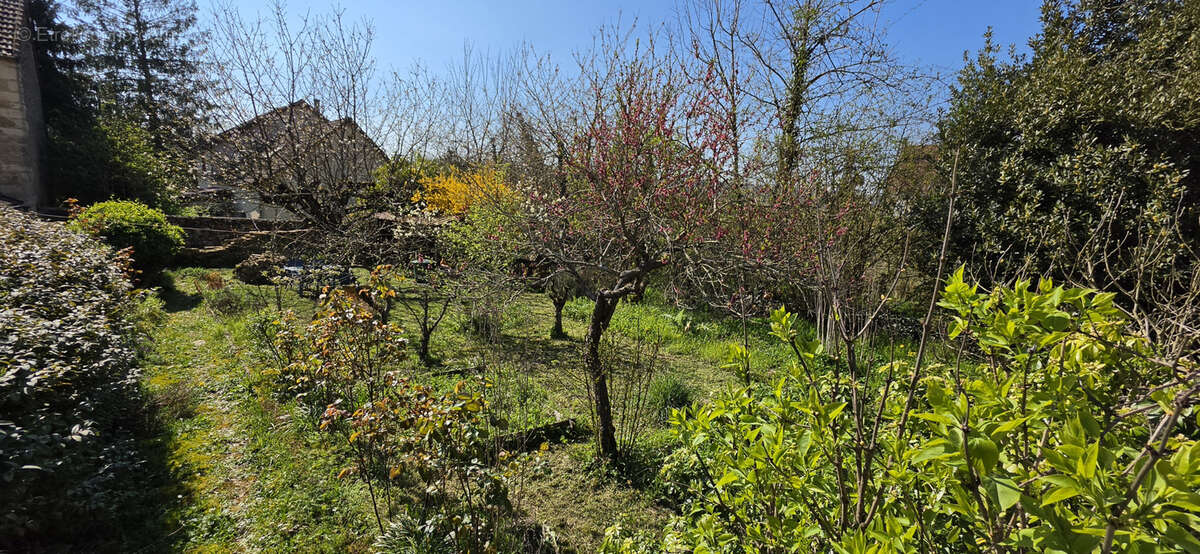 Idéal pour vous mettre au vert ! - photo 20