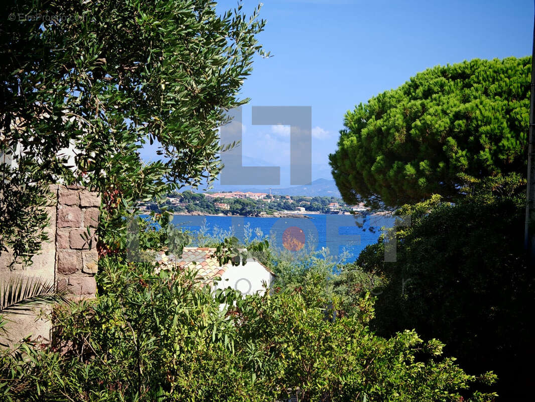 Appartement à ROQUEBRUNE-SUR-ARGENS