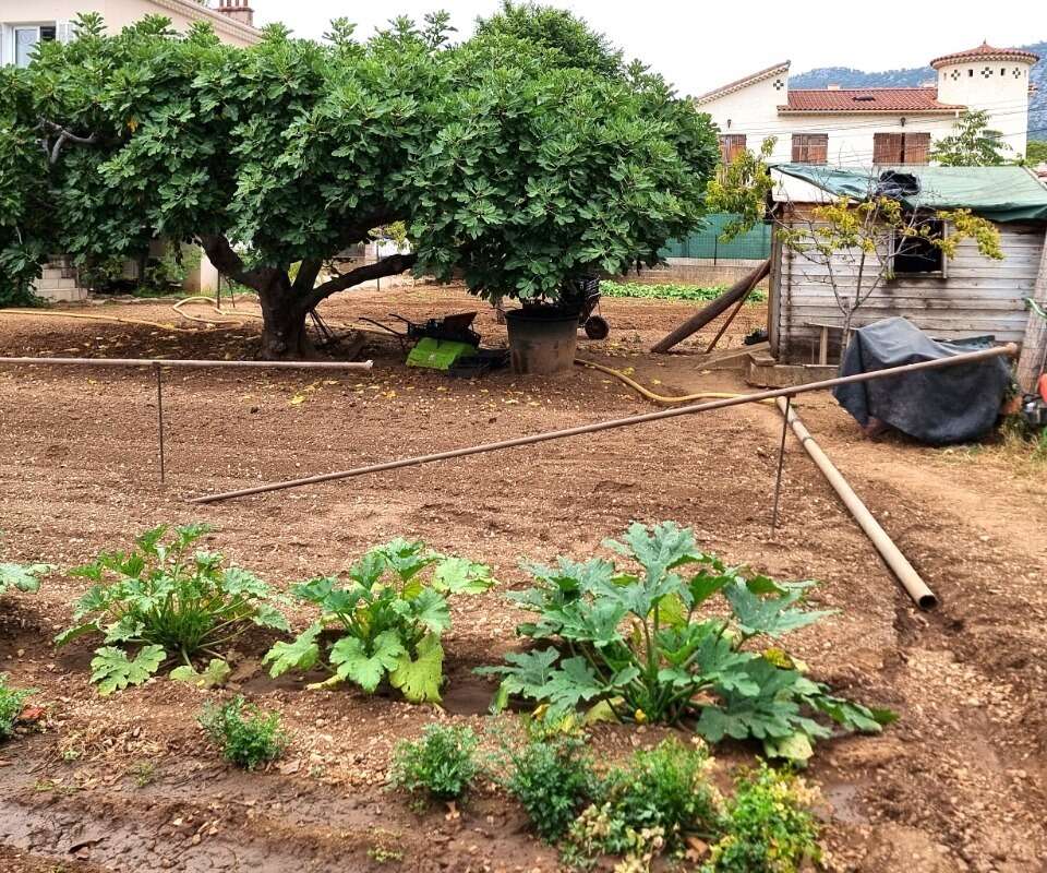 Terrain à LA VALETTE-DU-VAR