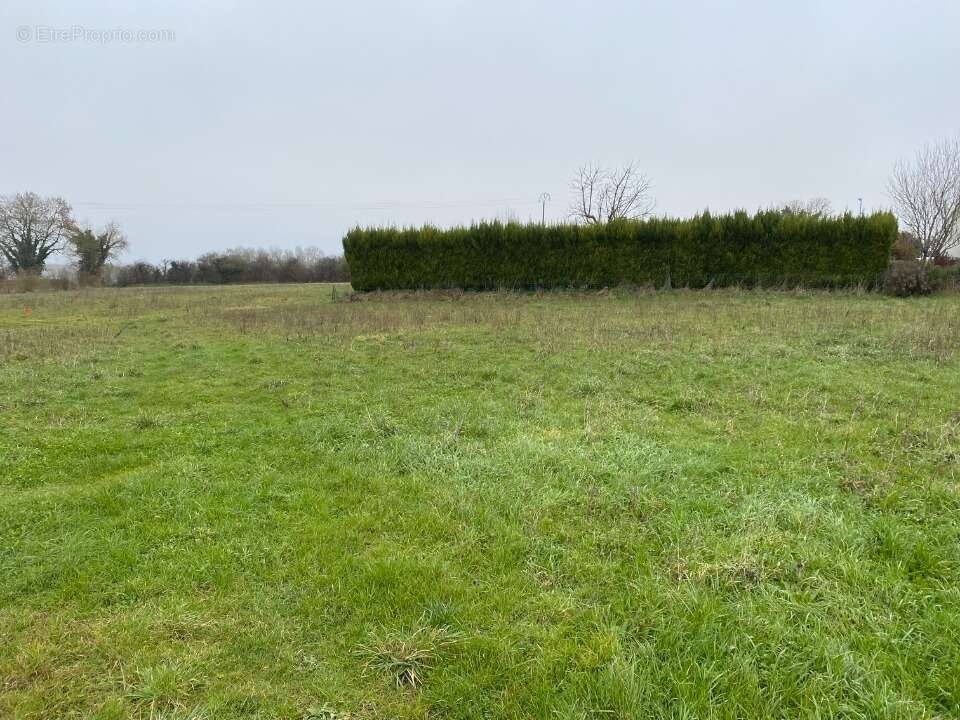 Terrain 989 m² à Champagne  - photo 2