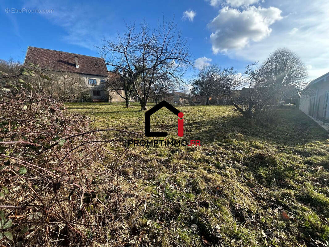 Terrain à BROGNARD