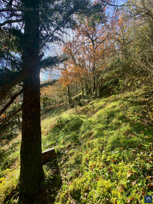 Maison à VILLEFRANCHE-DE-ROUERGUE