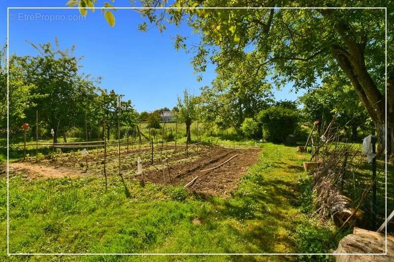 Dpt Cher (18), Loye-Sur-Arnon, Maison 112 m² – Grand terrain, dépendance de 100 m² et garage avec fosse - photo 27