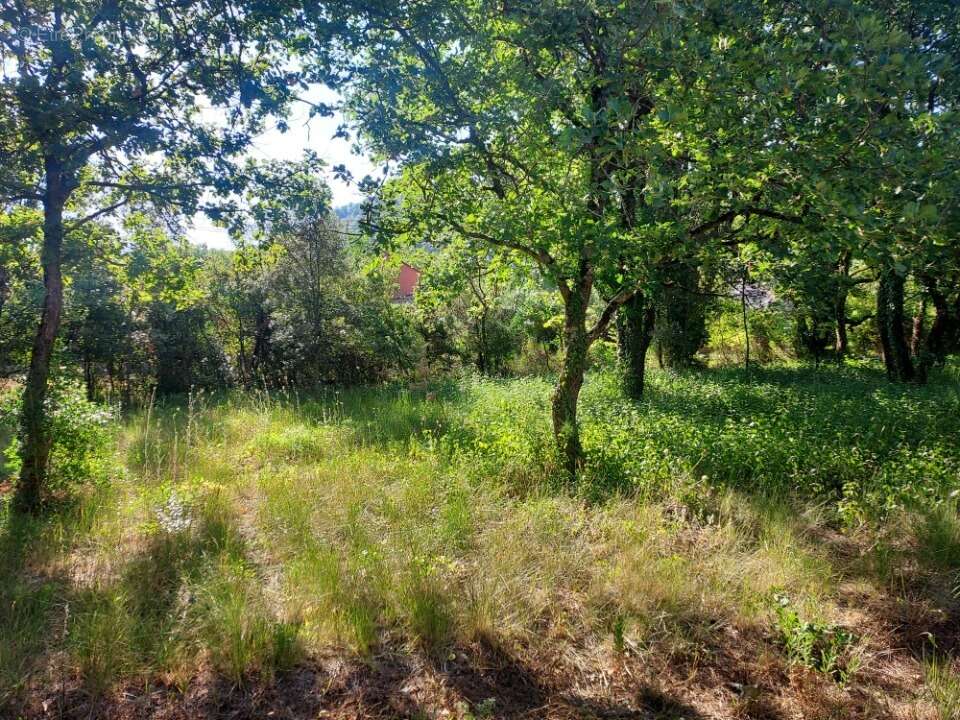 Terrain 1700 m² à Neoules  - photo 3