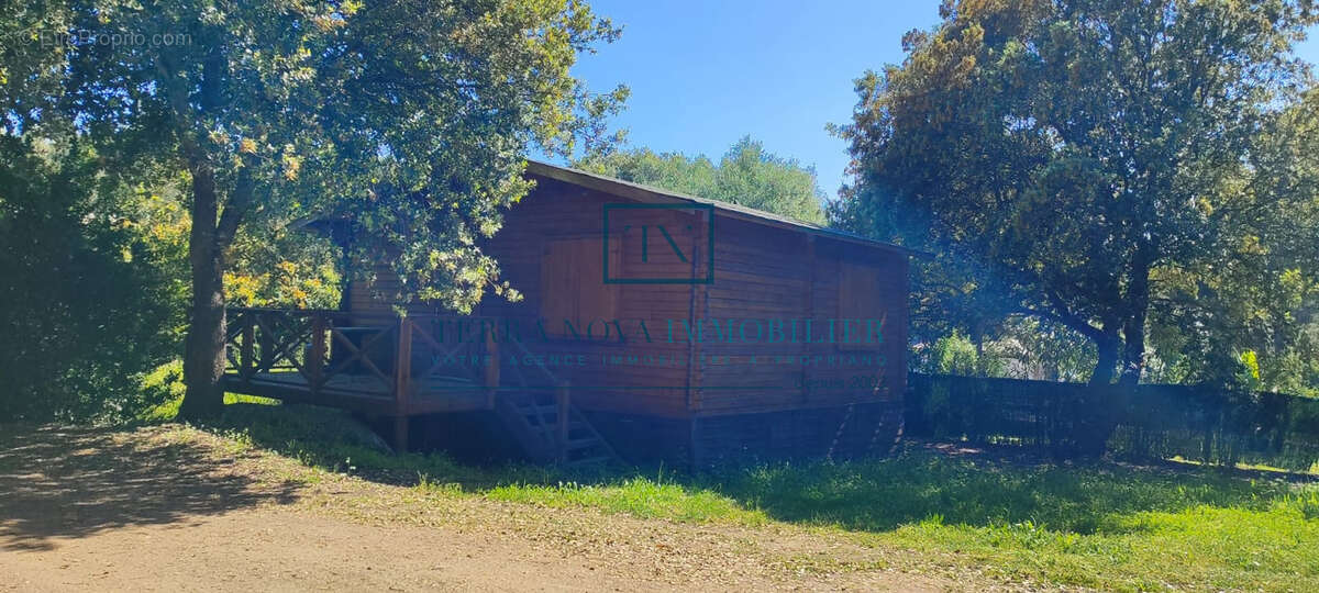 Propriété d'exception à Olmeto Plage - photo 5