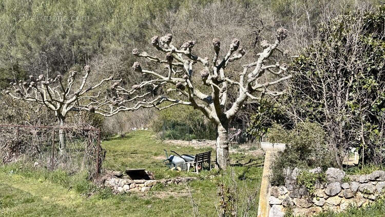 Maison à SAINT-ZACHARIE