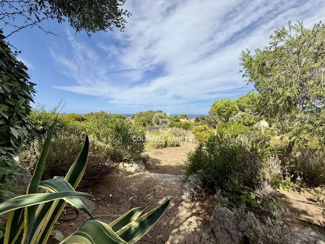 Appartement à LUMIO