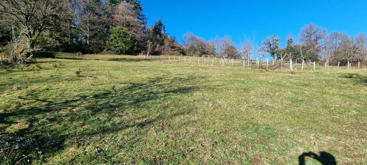 Terrain à MONTEZIC