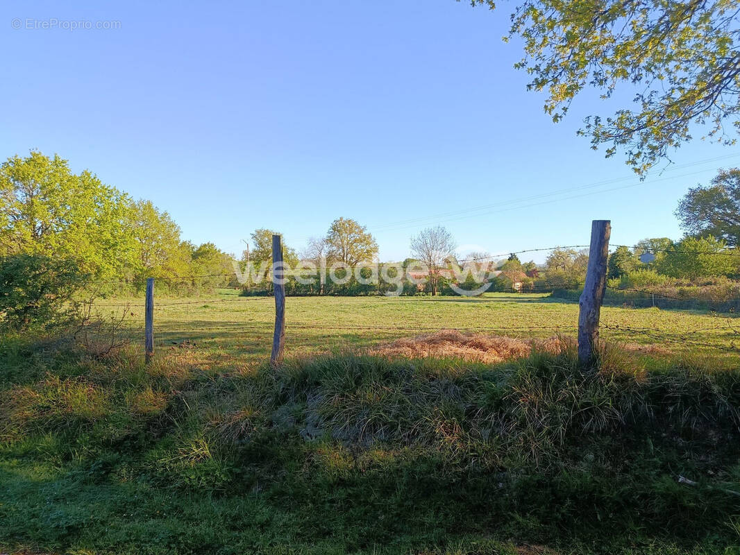 Terrain à BOUESSE