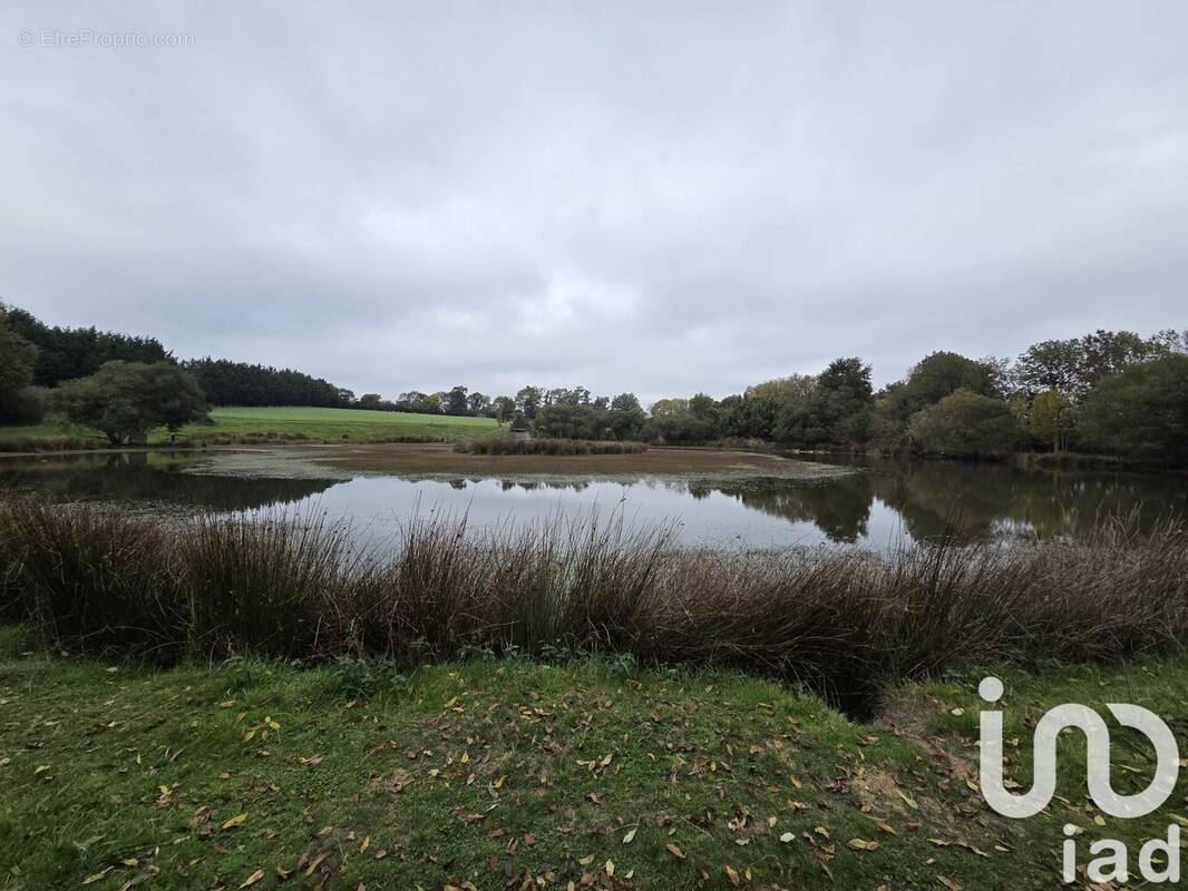 Photo 1 - Terrain à LA TESSOUALLE