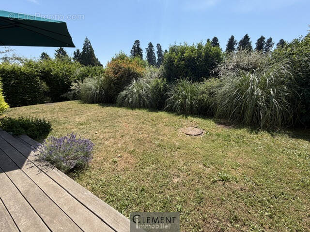 Appartement à LINGOLSHEIM