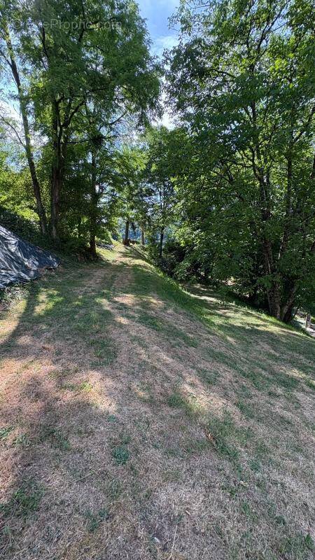 Terrain à MONTFAUCON
