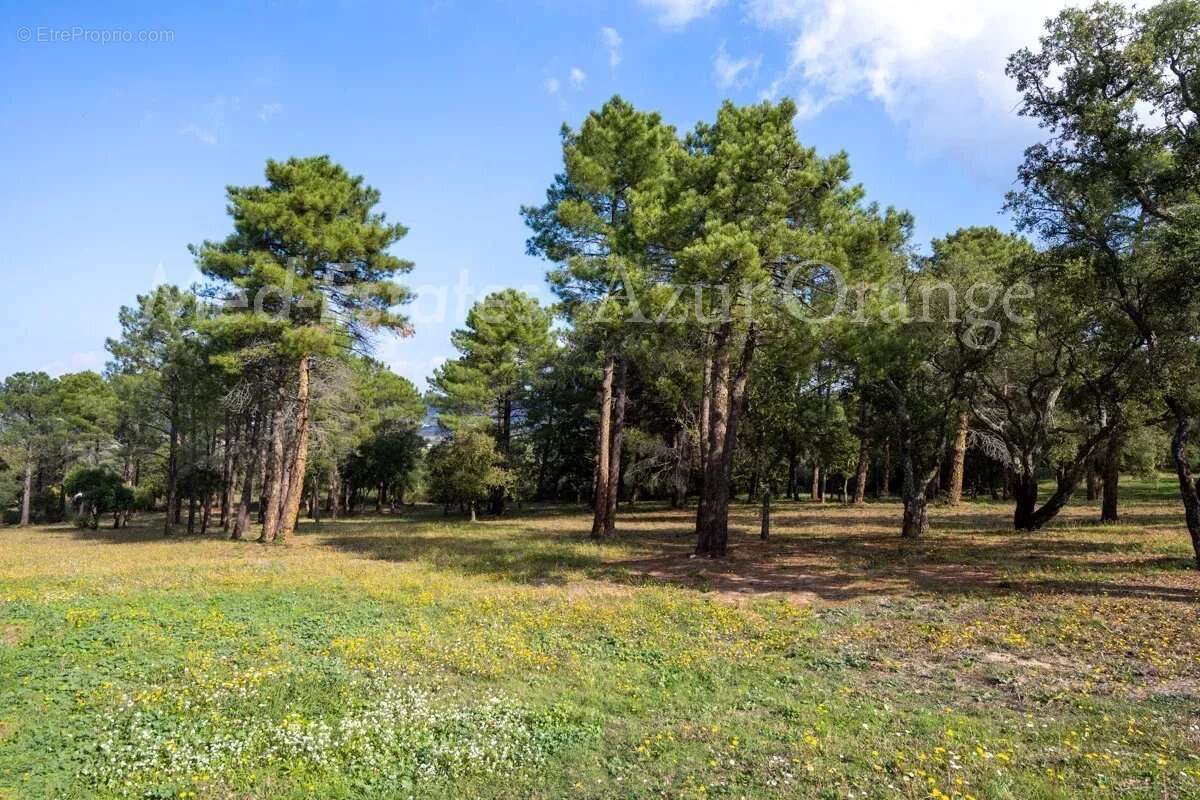 Maison à PLAN-DE-LA-TOUR