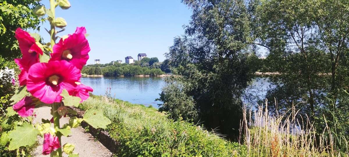 Appartement 39 m² à Saint-Cyr-Sur-Loire  - photo 5