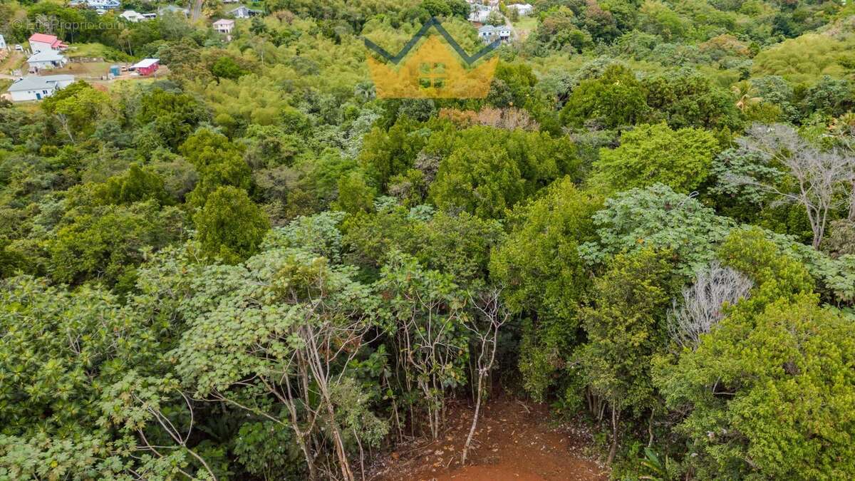 Terrain à PETIT-BOURG