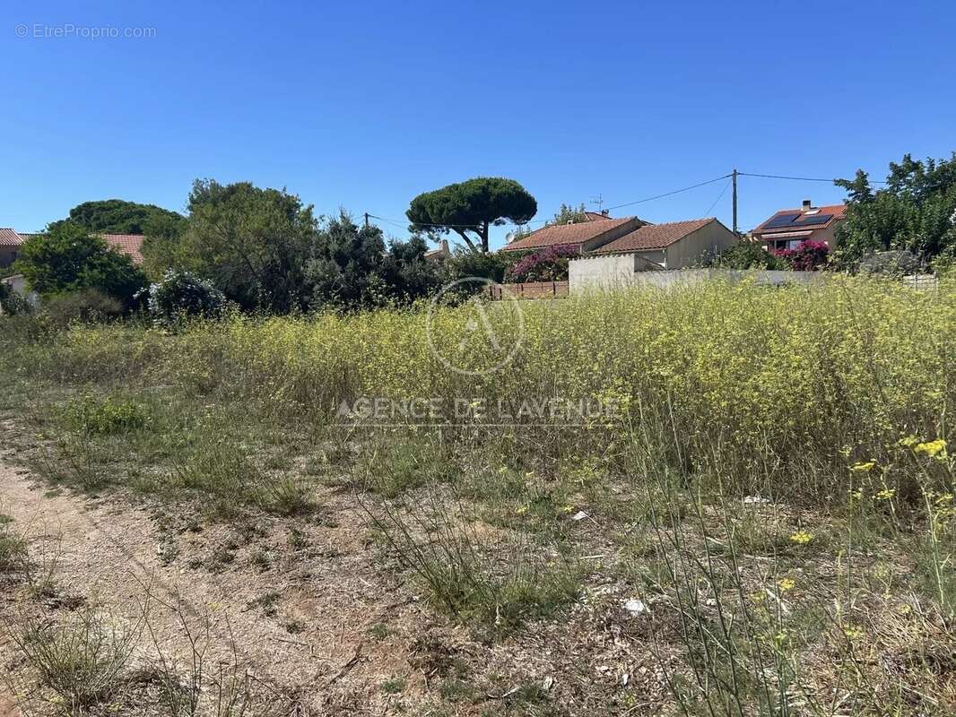 Terrain 1000 m² à La Seyne-Sur-Mer  - photo 2