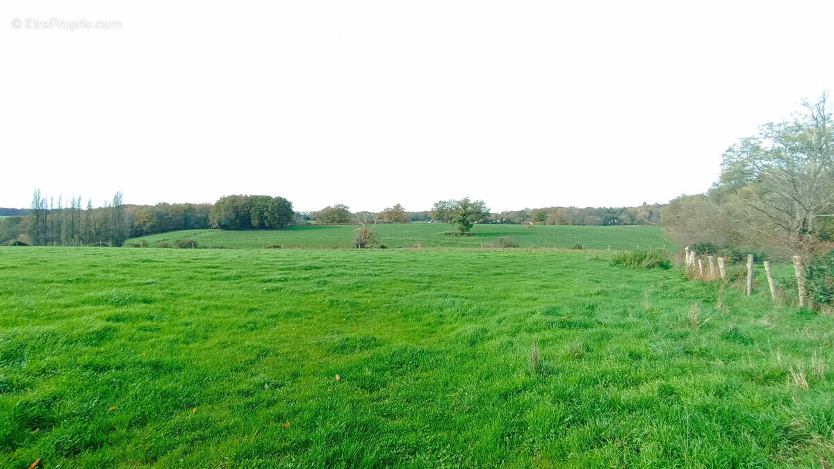 Maison à LA COQUILLE