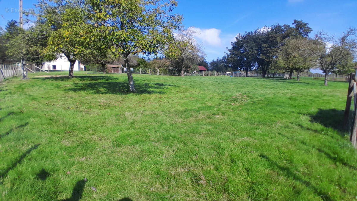 Terrain à FAVERGES-DE-LA-TOUR