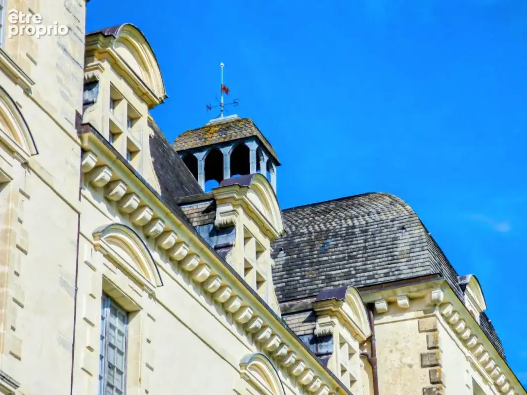 Château féodal au coeur des Landes sur 3,5 hectares - photo 13